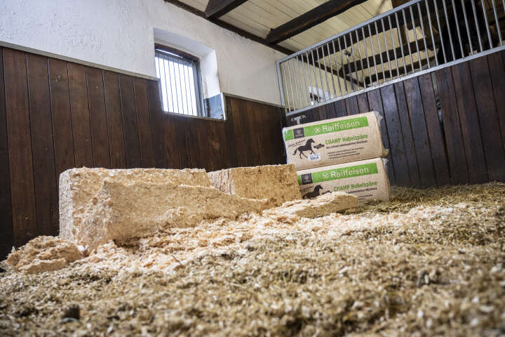 KANTRIE Hobelspäne Champ